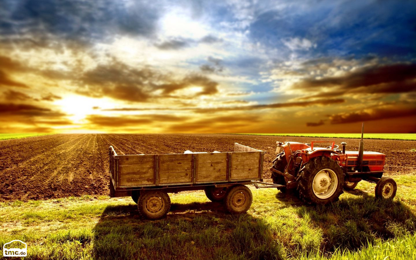 Bobcat 773 1951